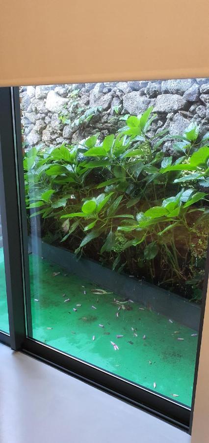 Arrenquinha Guesthouse 2 Ponta Delgada  Ngoại thất bức ảnh
